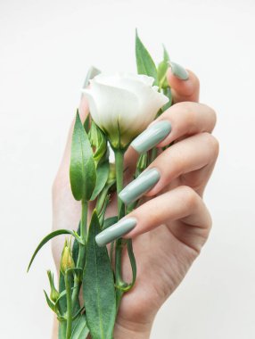 Zarif bir elde, yeşil yapraklarla çevrili beyaz bir gülü nazikçe tutarken uzun, nane yeşili tırnaklar sergilenir. Güzellik ve zarafeti ön plana çıkarır..