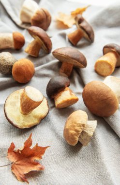 Renkli sonbahar yapraklarının yanına dikkatlice yerleştirilen farklı mantarlar sonbahar mevsiminde doğanın cömertliğini vurgular..