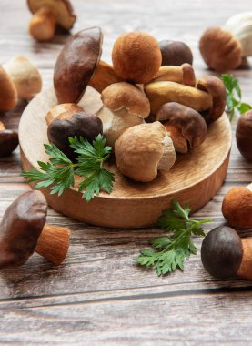Değişik taze mantarlar ahşap bir tabakta sanatsal olarak sergilenir. Mutfak ortamında yeşil otlarla çevrili..