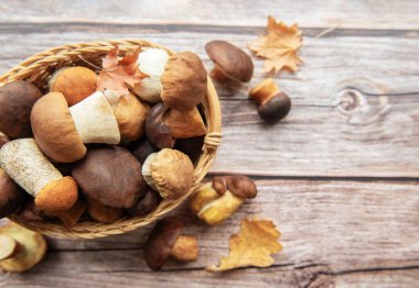 Örülmüş sepet mantar çeşitleriyle dolup taşar. Kurumuş sonbahar yapraklarının yanında, kırsal ahşap bir masa üzerine dizilmiş sıcak, mevsimsel bir atmosfer yaratır..