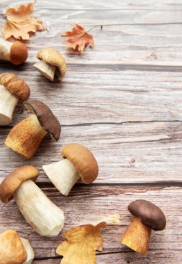 Taze mantar koleksiyonu, dağınık sonbahar yapraklarıyla birlikte kırsal bir ahşap yüzey üzerinde uzanır ve mevsimsel bir atmosfer yaratır..