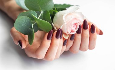 Koyu kırmızı tırnaklı narin eller yumuşak pembe bir gülü nazikçe sallar, açık bir arkaplana karşı güzel bir kontrast yaratır, zarafet ve kadınlığı sembolize eder..