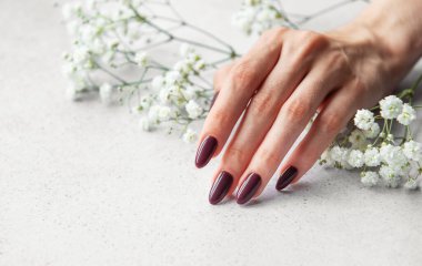 Kestane rengi ojeyle süslenmiş güzel manikürlü bir el hafif desenli bir yüzeydeki küçük beyaz çiçeklerin yanına nazikçe yerleştirilir ve huzurlu bir atmosfer yaratır..