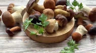 Türlü taze mantar ve bitkiler. 