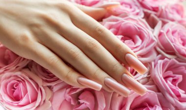 Yumuşak pembe güller, güzel manikürlü bir eli, cilalanmış tırnaklarıyla sarar. Doğal ışıkta zarif bir kontrastlık yaratır. Çiçeksel güzelliği ön plana çıkarır..