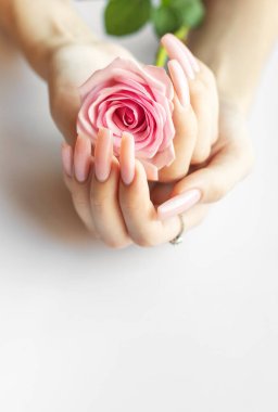 Uzun pembe tırnaklı narin eller güzel pembe bir gül sallıyor, yumuşak ve sakin bir atmosfere zerafet katıyor..