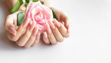 Uzun, pembe, manikürlü elleri beyaz arka planda pembe bir gül tutuyor.