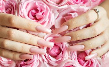 Uzun kare balerinli eller pembe tırnaklar taze pembe güllere dokunuyor.