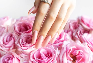 Mükemmel pembe manikürlü bir kadının eli pembe güllere dokunuyor.