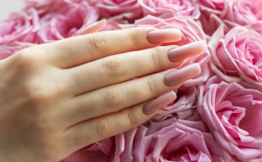 Yumuşak pembe güller, güzel manikürlü bir eli, cilalanmış tırnaklarıyla sarar. Doğal ışıkta zarif bir kontrastlık yaratır. Çiçeksel güzelliği ön plana çıkarır..