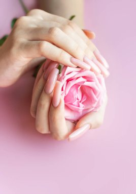 Mükemmel pastel pembe manikürlü bir kadın pembe arka planda pembe bir gül tutuyor.