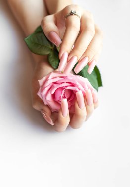 Beyaz arka planda pembe gül tutan pembe manikürlü bir kadın.