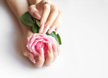 Beyaz arka planda pembe gül tutan pembe manikürlü bir kadın.