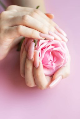 Mükemmel pastel pembe manikürlü bir kadın pembe arka planda pembe bir gül tutuyor.