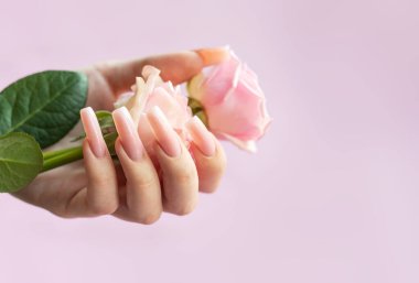 Uzun, pembe, balerin şekilli kadın elleri pembe arka planda pembe güller tutuyor.