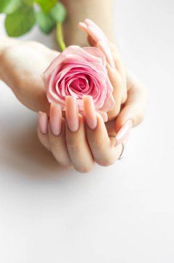 Uzun pembe tırnaklı narin eller güzel pembe bir gül sallıyor, yumuşak ve sakin bir atmosfere zerafet katıyor..