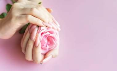 Mükemmel pastel pembe manikürlü bir kadın pembe arka planda pembe bir gül tutuyor.