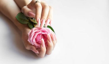 Beyaz arka planda pembe gül tutan pembe manikürlü bir kadın.