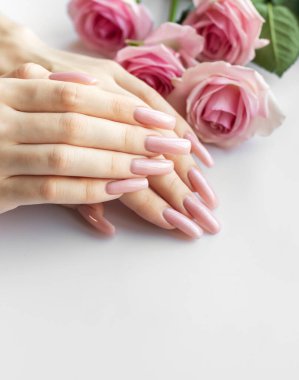 Uzun, pembe tırnaklı eller ve beyaz arka planda pembe güller.