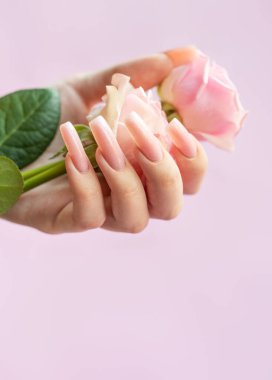 Uzun, pembe, balerin şekilli kadın elleri pembe arka planda pembe güller tutuyor.