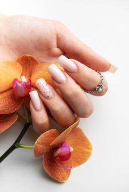 Beyaz arka planda turuncu orkide çiçekleri tutan şık, çıplak manikürlü bir kadın eli.