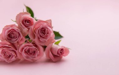 Narin pembe güller eşleşen pembe arkaplanda güzel bir çiçek aranjmanı oluşturur.