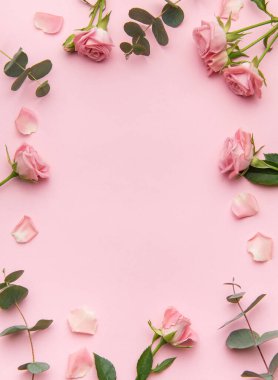 Pembe güller ve okaliptüs yapraklarından yapılmış çiçek çerçevesi pembe arka planda, sevgililer günü için mükemmel ya da romantik durumlar için.