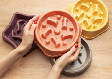 Farklı şekilleri ve renkleri göz önünde bulundurarak köpeği için yavaş bir yemek kasesi seçen bir kadın.