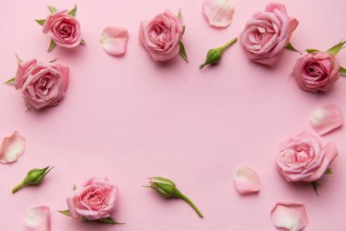 Pembe bir yüzeyde yatan pembe gül ve taç yaprakları romantik ve zarif bir atmosfer yaratıyor.