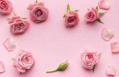 Pembe güller ve taç yaprakları pembe arka planda bir çerçeve oluşturuyor. Romantik ya da kadınsı temalar için ideal.