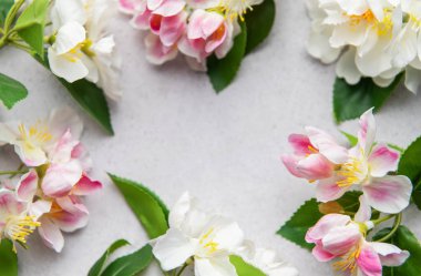 Pembe ve beyaz elma çiçekleri, gri arkaplanda kopyalama alanı olan bir çerçeve oluşturur