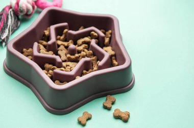 Yıldız şeklindeki kase köpek yemini yavaşlatmak ve sağlıklı beslenme alışkanlıklarını teşvik etmek için tasarlandı.