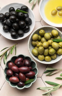 Zeytinyağı ve kiremit kaplı bir yüzeyde dallarla çeşitli zeytinler.