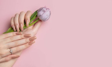Pembe arka planda mor lale tutan bej manikürlü bir kadın.