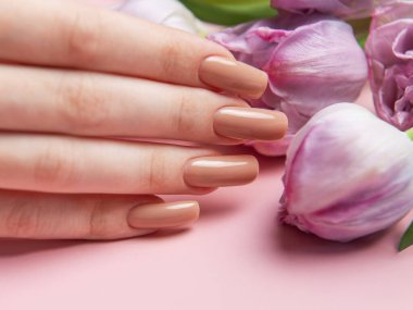 Mükemmel çıplak manikürlü, pembe arka planda pembe laleler tutan bir kadın eli.