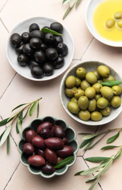 Zeytinyağı ve kiremit kaplı bir yüzeyde dallarla çeşitli zeytinler.