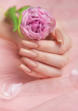Pembe tül arka planda pembe şakayık çiçeğini tutan, kare şeklinde, zarif çıplak jel tırnaklı bir kadın eli.