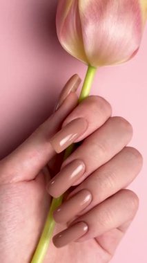 Mükemmel kahverengi manikürlü bir kadın eli pembe arka planda bir lale tutuyor.