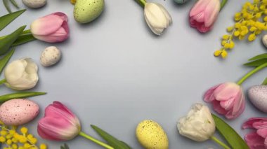 Renkli yumurtalar, pembe laleler, beyaz laleler, açık mavi arka planda mimoza ve yeşil yapraklarla bir çerçeve oluşturan şenlikli paskalya düzenlemesi.