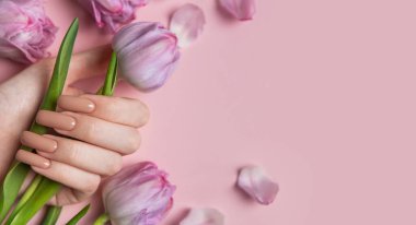 Tarafsız bej ojeli uzun tırnaklı kadın eli pembe arka planda lale çiçeği tutuyor.