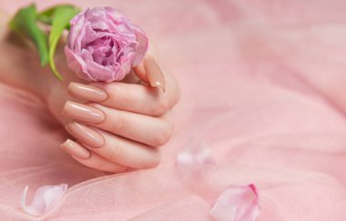 Pembe tül arka planda pembe şakayık çiçeğini tutan, kare şeklinde, zarif çıplak jel tırnaklı bir kadın eli.