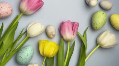 Renkli laleler ve paskalya yumurtaları pastel mavi bir zemin üzerinde dönerek neşeli bir bahar atmosferi yaratırlar.