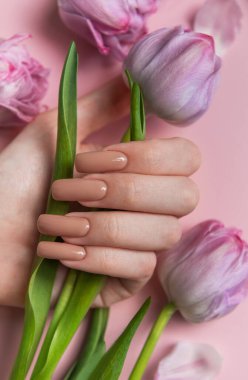 Tarafsız bej ojeli uzun tırnaklı kadın eli pembe arka planda lale çiçeği tutuyor.
