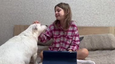 Genç kız yatağında tablet kullanırken köpeğiyle iyi vakit geçirmekten hoşlanıyor.