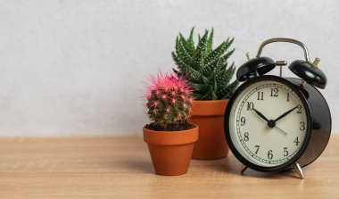 Siyah alarm saati saat 9 'da kaktüsün yanında ve ahşap bir masada gri bir duvara karşı terasotta çömlekleri olduğunu gösteriyor.