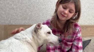 Genç kız yatağında tablet kullanırken köpeğiyle iyi vakit geçirmekten hoşlanıyor.