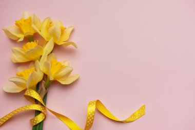 Pembe arka planda duran sarı kurdeleli nergisler bahar konsepti resmi oluşturuyorlar