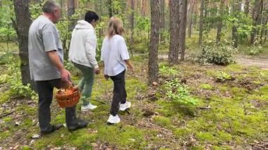 Ailesi köpekleriyle ormanda mantar topluyor.