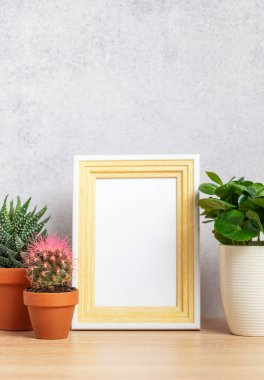 Ahşap bir yüzeye yerleştirilmiş sulu bitkiler ve çerçeve