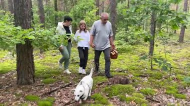 Ailesi köpekleriyle ormanda mantar topluyor.